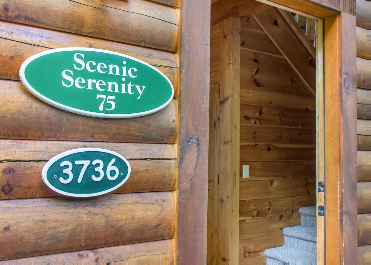 Scenic Serenity #75 Sevierville Eksteriør billede